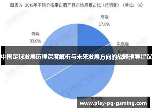 中国足球发展历程深度解析与未来发展方向的战略指导建议