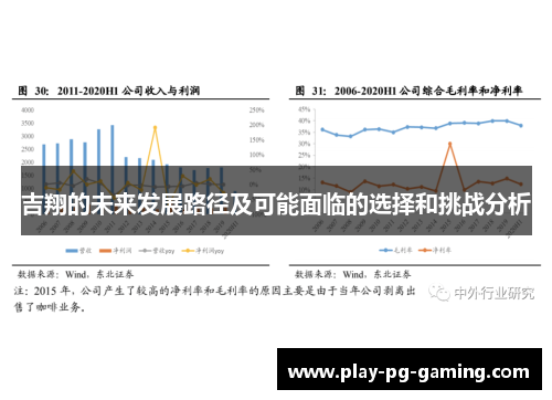 吉翔的未来发展路径及可能面临的选择和挑战分析