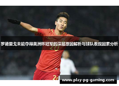 罗德里戈未能夺得美洲杯冠军的深层原因解析与球队表现因素分析