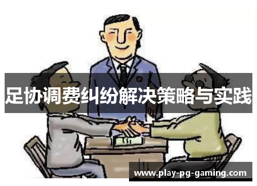 足协调费纠纷解决策略与实践